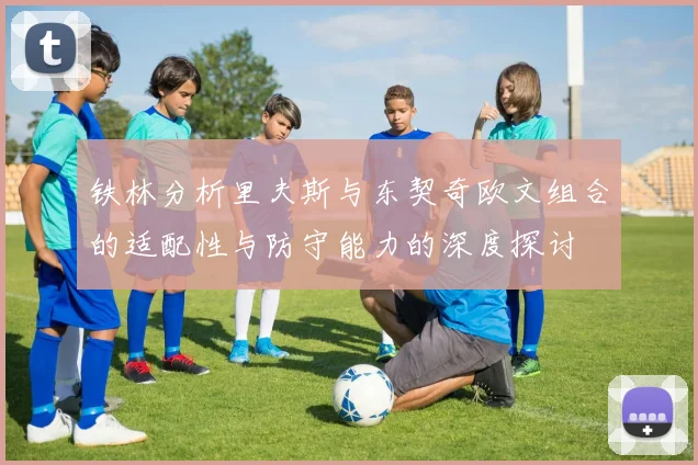 铁林分析里夫斯与东契奇欧文组合的适配性与防守能力的深度探讨