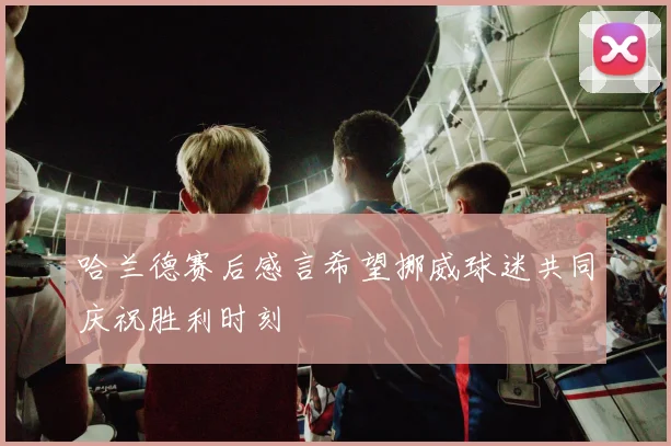 哈兰德赛后感言希望挪威球迷共同庆祝胜利时刻
