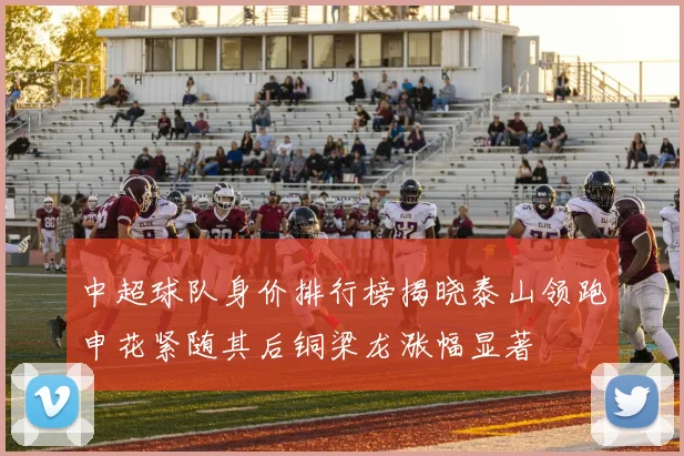 中超球队身价排行榜揭晓泰山领跑申花紧随其后铜梁龙涨幅显著