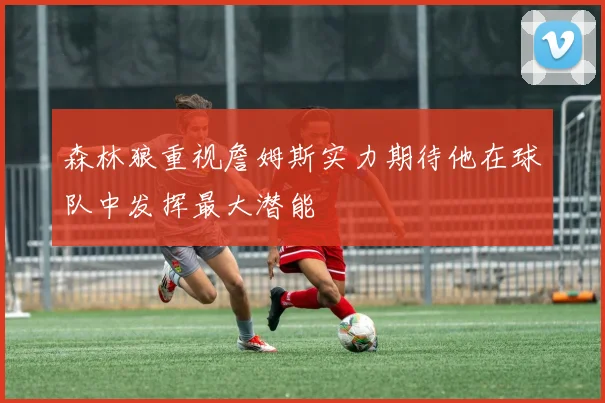 森林狼重视詹姆斯实力期待他在球队中发挥最大潜能