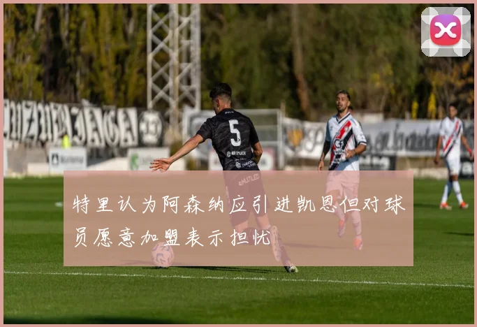特里认为阿森纳应引进凯恩但对球员愿意加盟表示担忧